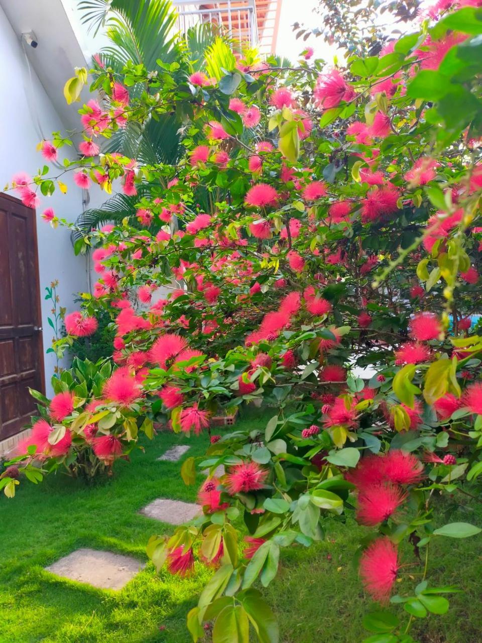 Serenity Garden 두옹 동 외부 사진